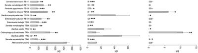 Enhancing plant defense using rhizobacteria in processing tomatoes: a bioprospecting approach to overcoming Early Blight and Alternaria toxins